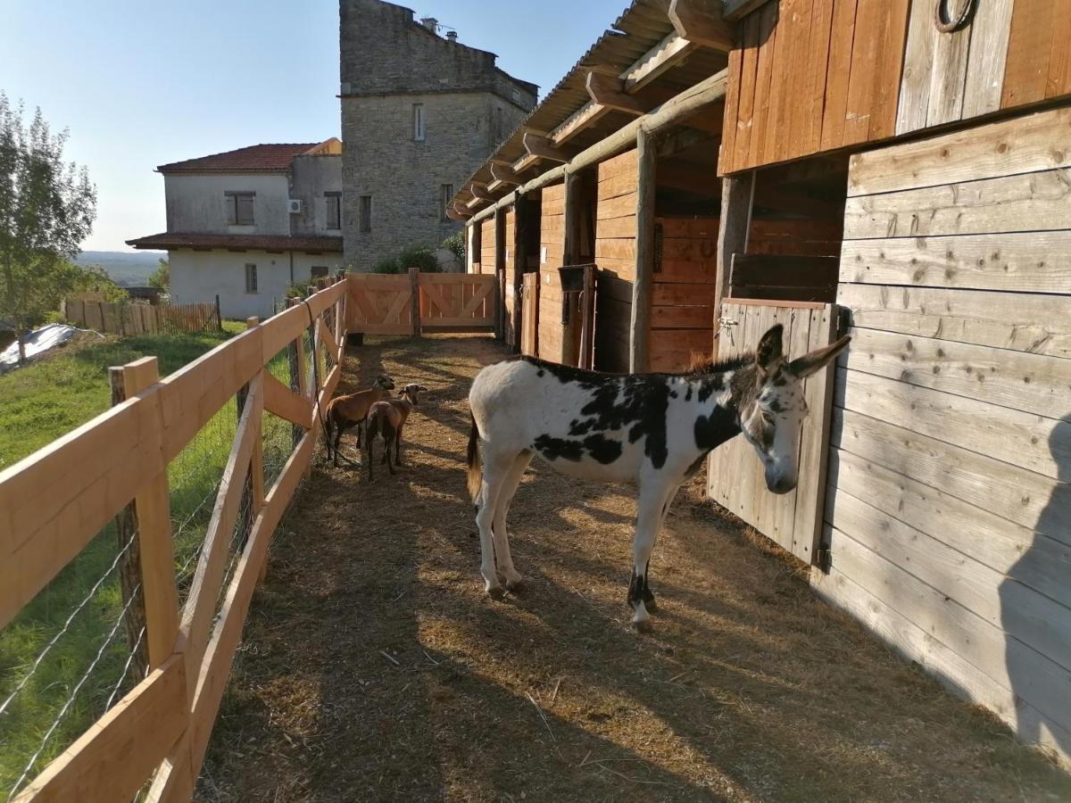 Villa Les Hauts Vallons Puylaroque Kültér fotó