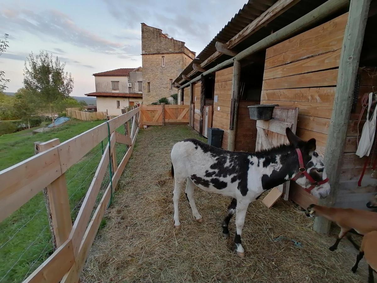 Villa Les Hauts Vallons Puylaroque Kültér fotó