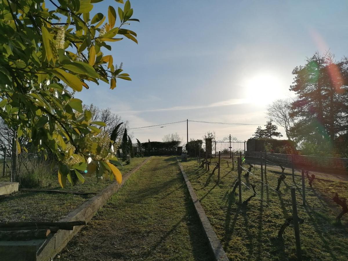 Villa Les Hauts Vallons Puylaroque Kültér fotó